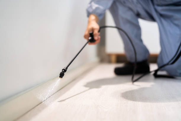 Licensed Cockroach Control service in Biscoe, NC - Nex Pest Control