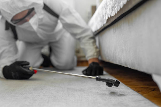 Professional Cockroach Control technician working in Biscoe, NC
