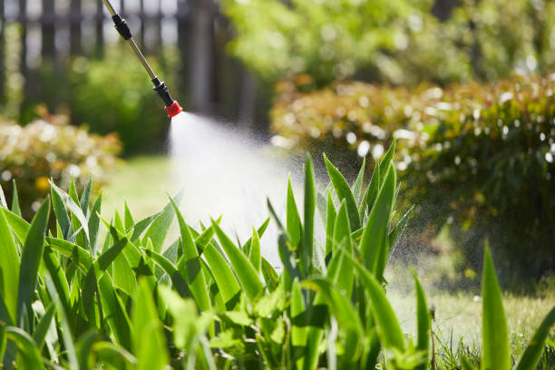 24/7 Emergency Cockroach Control experts in Biscoe, NC