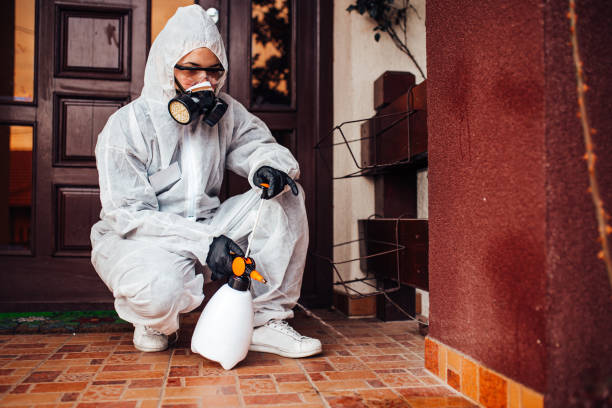 Reliable Cockroach Control contractor in Biscoe, NC by Nex Pest Control